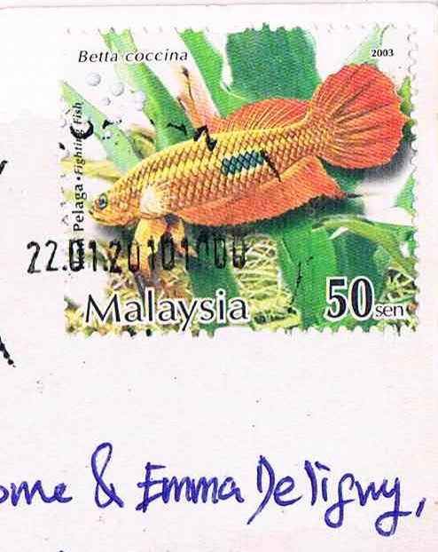 Bettas timbrés Malaisie-timbre2